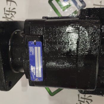METARIS原裝油泵V10-1B02B-00/C直發(fā)