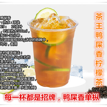2024年網紅飲品推薦，手打檸檬茶教程與做法
