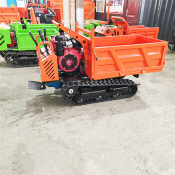 山地履帶運(yùn)輸車農(nóng)用履帶爬山虎