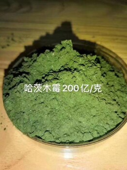 廠家供貨哈茨木霉的功效