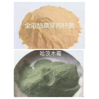 哈茨木霉＋枯草芽孢杆菌25公斤规格