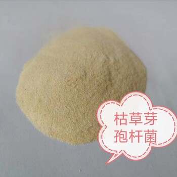 枯草25公斤袋裝