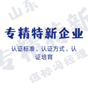 怎么認(rèn)定專精特新