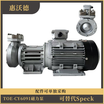 惠沃德高溫磁力泵TOE/WD-6091可替代SPECK