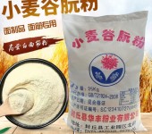 雪菊谷朊粉小麦蛋白面筋粉厂家