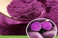 食品级紫甘薯色素厂家