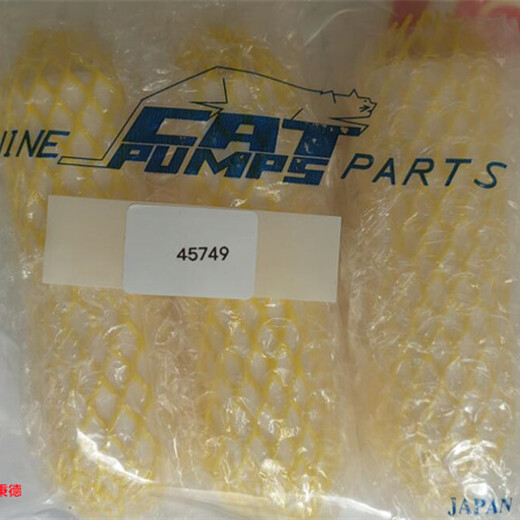 CatPumps泵配件柱塞45749