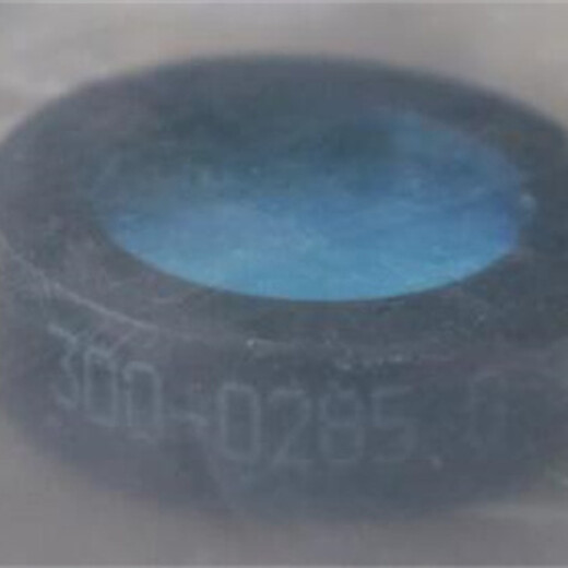 AMETEK過濾器300-0285