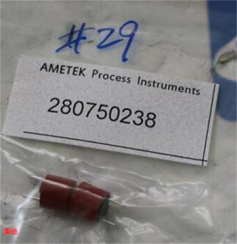 AMETEK微米過濾器305448901S