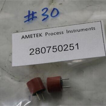 AMETEK微米過濾器305448901S