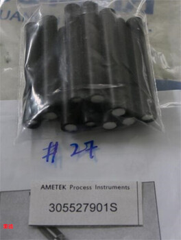 AMETEK微米過濾器305448901S