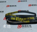 STEYR定时带2178073-1图片