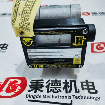 供應(yīng)UFM流量計MN-AIB50LM-8-24/500CS0.91-AX0NR-ST