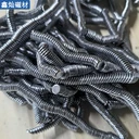 廠家釹鐵硼強力磁鐵圓形帶孔強磁磁鋼方形異形N35-N52磁鐵