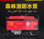 LINHAI林海森林消防泵SFBA30/0.6-C水泵高压隔膜泵抽水泵
