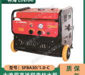 LINHAI林海水泵SFBA30/1.0-C森林消防灭火泵高扬程自吸隔膜抽水泵