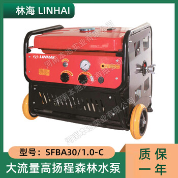 LINHAI林海水泵SFBA30/1.0-C森林消防滅火泵高揚程自吸隔膜抽水泵