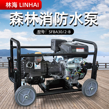 LINHAI林海水泵SFBA30/2-B高揚(yáng)程水泵森林消防泵高壓自吸隔膜泵