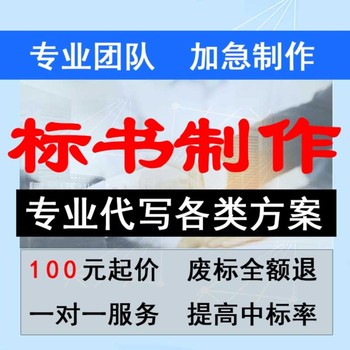 安康标书财务报表