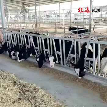 牛頸枷_牛頸枷廠家_牛頸夾配件抱卡