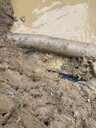 惠州地下管道漏水查漏，供水管道漏水檢修，地下球墨管道漏水探測(cè)