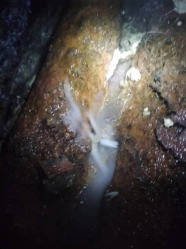 惠州地栓管道漏水檢修，自來水管道漏水尋點(diǎn)，暗埋壓力管漏水檢測