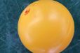 江河湖警示海洋浮球厂家直供PE塑料浮体浮球浮筒特质
