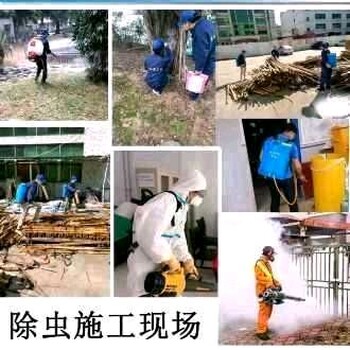 承德除蟲除鼠滅蟑螂老鼠螞蟻食品廠除四害