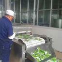 微波滅菌機應(yīng)用有哪些