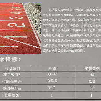 陕西金格学校操场新国标全塑型13mm自结纹塑胶跑道透气耐磨