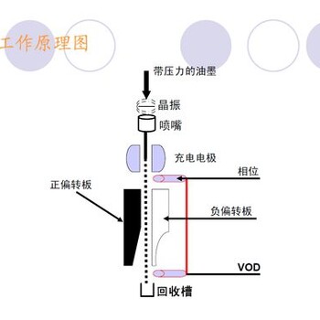 潍坊产品使用防伪标签有什么好处?