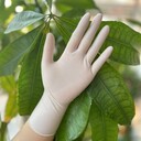 天然橡膠手套乳膠手套實(shí)驗(yàn)室護(hù)理無(wú)粉加厚