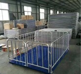 養(yǎng)殖地磅畜牧圍欄地磅