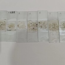 矿物岩石玻片教学切片矿石切片岩石切片高教教学制作