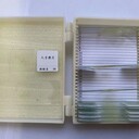 供應(yīng)教學(xué)切片生物切片