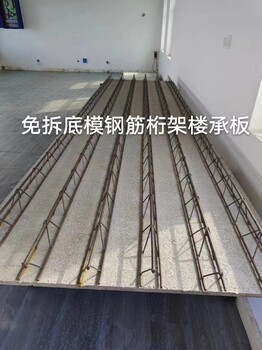 網(wǎng)片鋼筋桁架組焊一體機設備用于細石混凝土樓承板產(chǎn)品