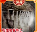 安顺厂区喷淋扬尘除尘/粉尘治理环保大师-贵州博驰环境喷雾系统图片