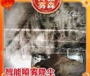 巴南厂房车间雾化除尘/喷淋降尘降温系统-重庆博驰环境工程公司图片