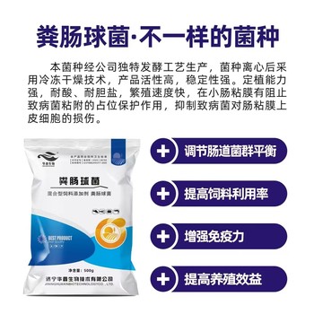 供應水產(chǎn)養(yǎng)殖調(diào)節(jié)腸道糞腸球菌