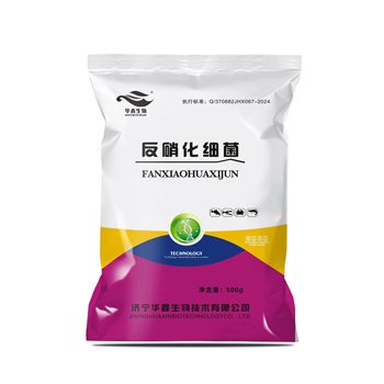供應水產(chǎn)養(yǎng)殖去亞鹽產(chǎn)品反硝化細菌