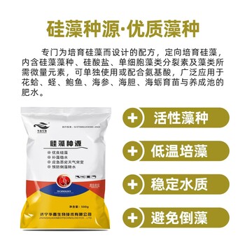 供應水產(chǎn)養(yǎng)殖活性藻種硅藻種源