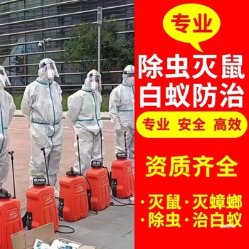 松江區(qū)除蟲滅老鼠滅蟑螂別墅洋房白蟻防治捉老鼠滅跳蚤除臭蟲