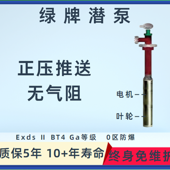 中山市供应免维护液下泵Ga等级防爆潜泵YQYB