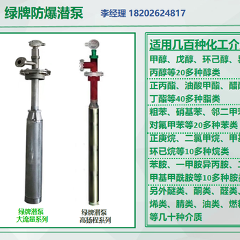 深圳供應(yīng)綠牌0區(qū)防爆化工液下泵質(zhì)保5年