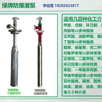 深圳供应绿牌0区防爆化工液下泵质保5年