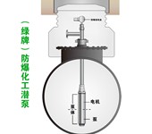 保定市供绿牌潜泵流体化工防爆液下泵