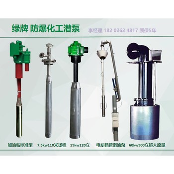 綠牌防爆化工液下屏蔽泵YQYB化工潛液泵