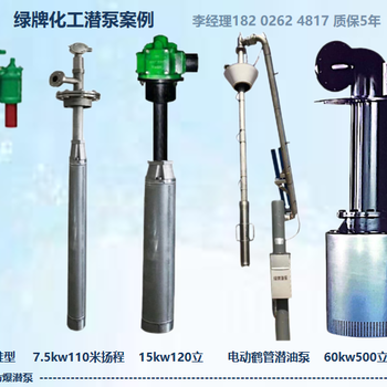 天津綠牌屏蔽液下泵YQYB0區(qū)防爆化工潛泵