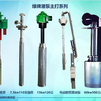 綠牌高揚(yáng)程電動(dòng)潛液泵0區(qū)防爆免維護(hù)液下泵