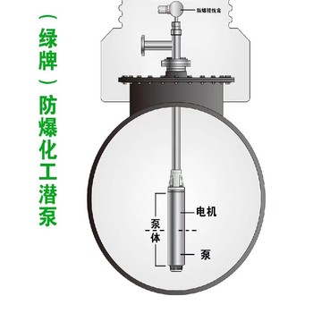 绿牌化工液下泵YQYB防爆潜液泵